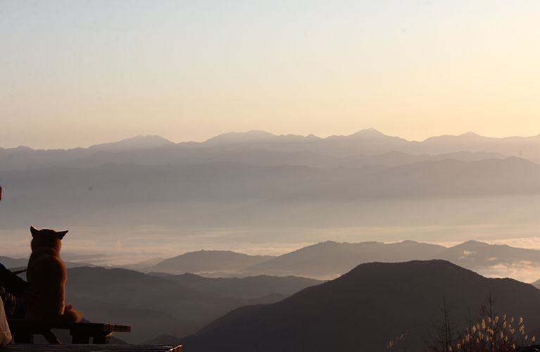 展望台