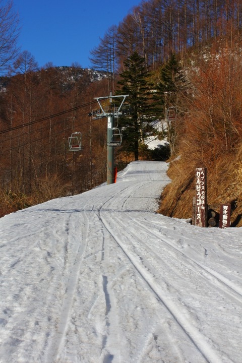 aIMG_4939
