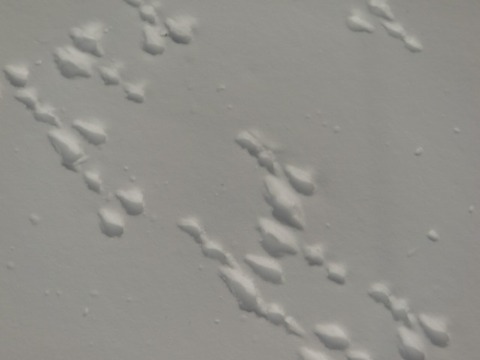 CIMG9791