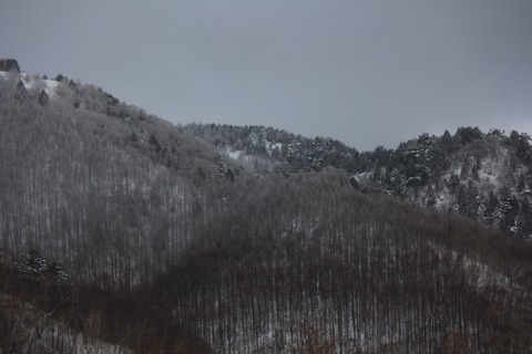 aIMG_5695