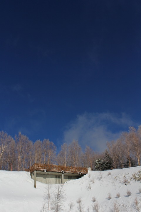 aIMG_9147