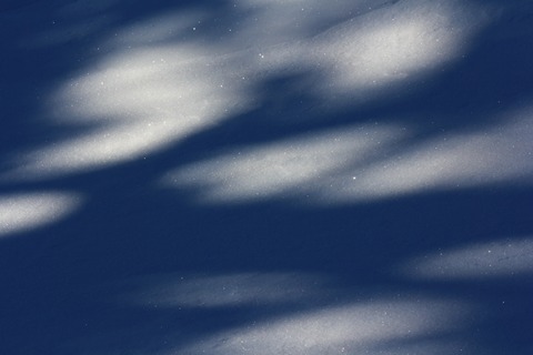 bIMG_3024