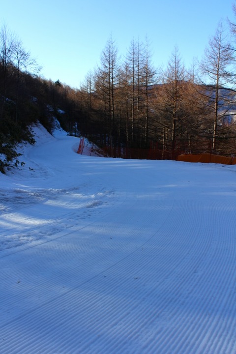 aIMG_4945