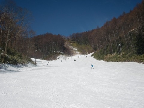 CIMG5633
