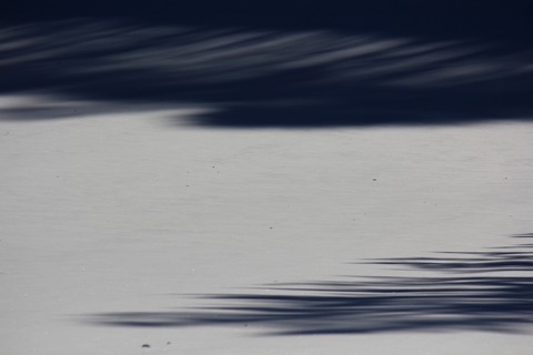 aIMG_5093 (1280x853)