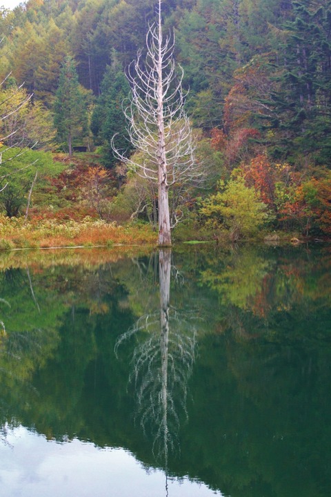 aIMG_1290 (853x1280)