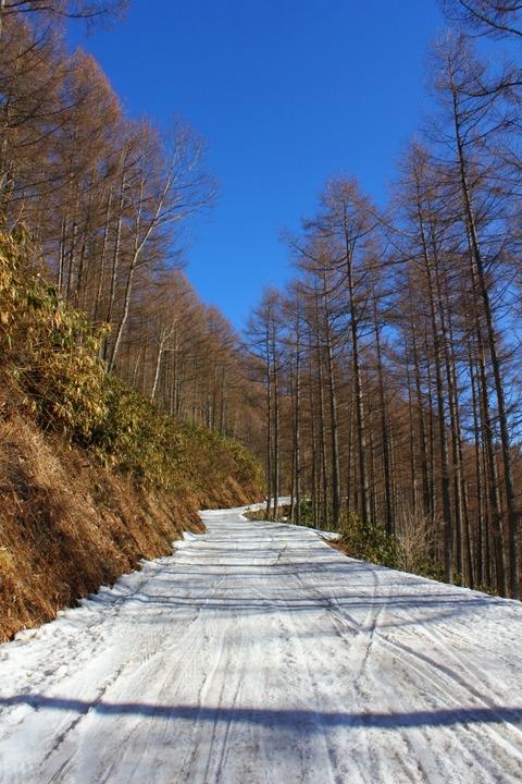 aIMG_4941