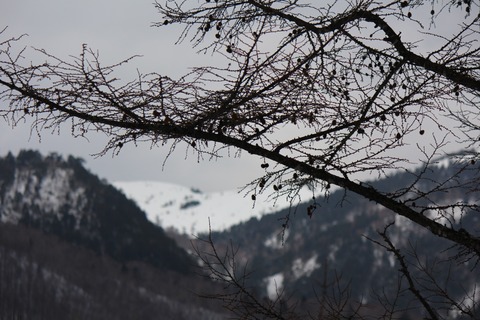 aIMG_9965