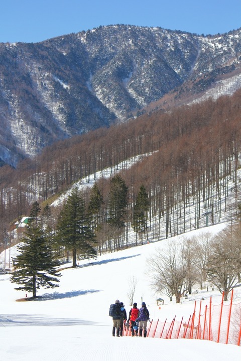 aIMG_9776