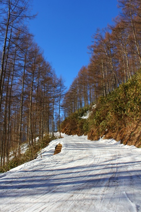 aIMG_4940