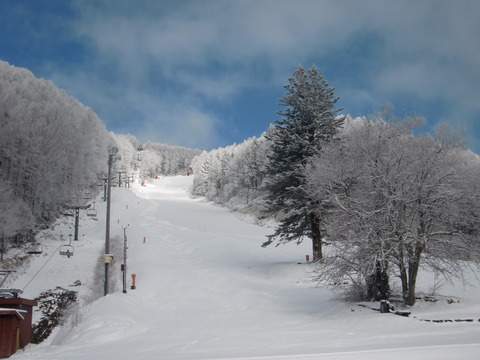 CIMG0572