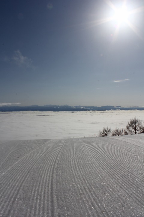 aIMG_2931