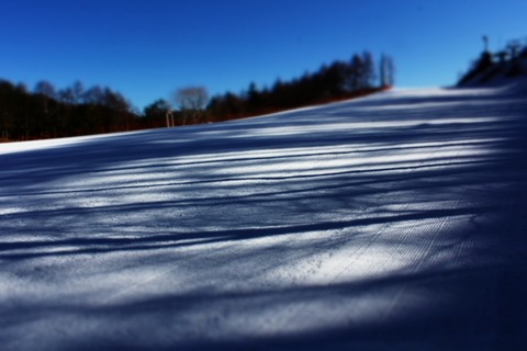 aIMG_4915