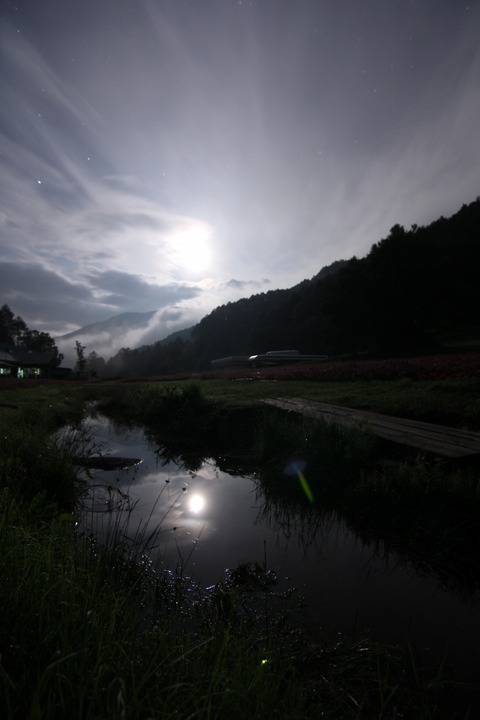 aIMG_4554 (853x1280)