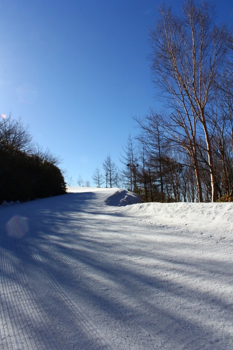 aIMG_4946