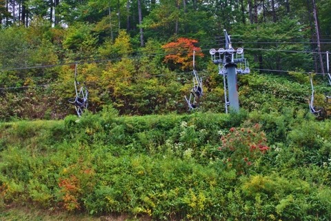 aIMG_1183 (600x400)