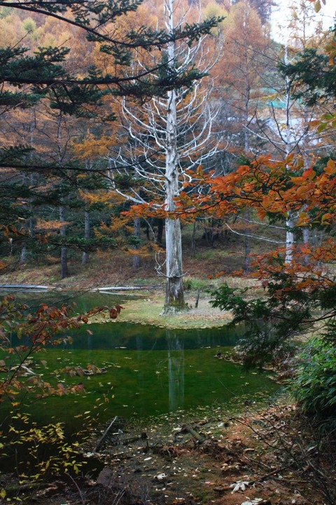 aIMG_3178 (853x1280)