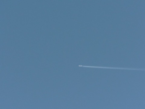 CIMG0732